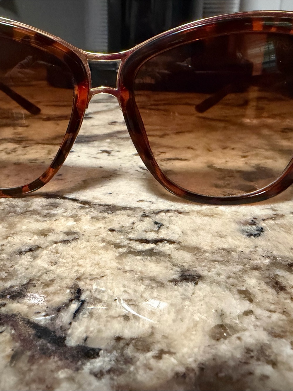 Versace Collection Tortoiseshell Brown Gradient Sunglasses